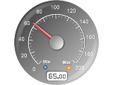 Radial gauge with numeric display